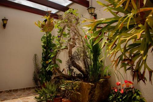 Hotel Abadias De Zapatoca