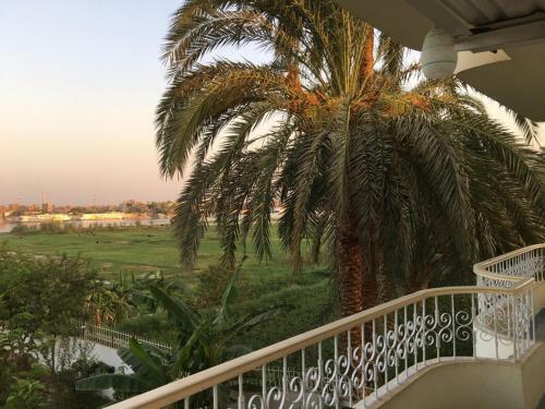 Nile View Hotel
