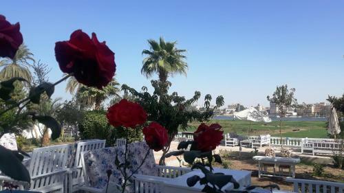 Nile View Hotel