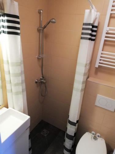 Apartamento Attic Karlov?ka