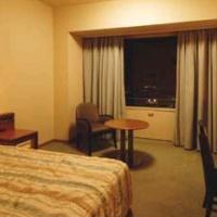Ana Gate Tower Hotel Osaka