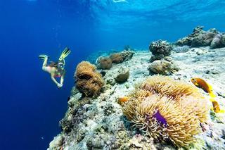 Hotel Sheraton Maldives Full Moon Resort
