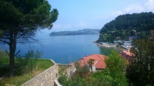 Hostal Dom Mladinske Knjige Fiesa
