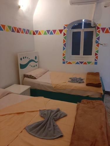 Bed & Breakfast Baba Dool