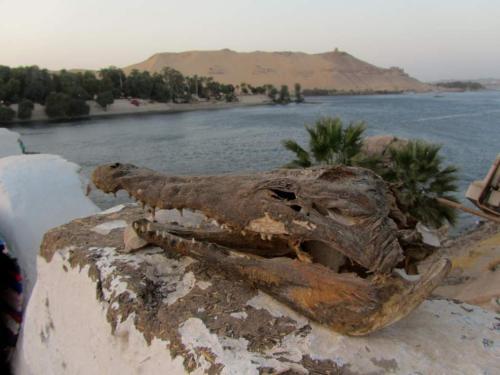 Bed & Breakfast Baba Dool