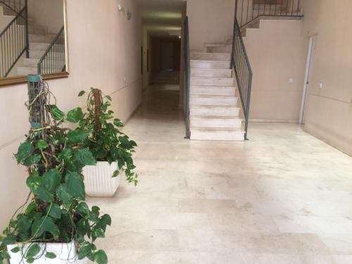 Apartamento Noray