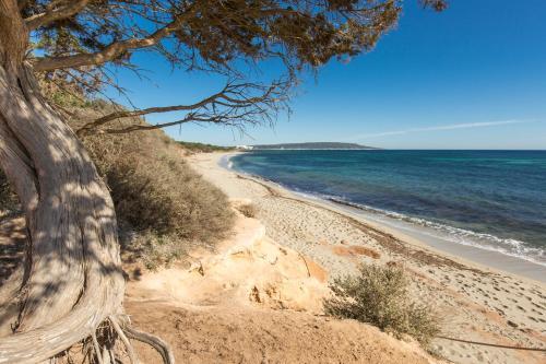 Apartamento Residence Can Confort Formentera