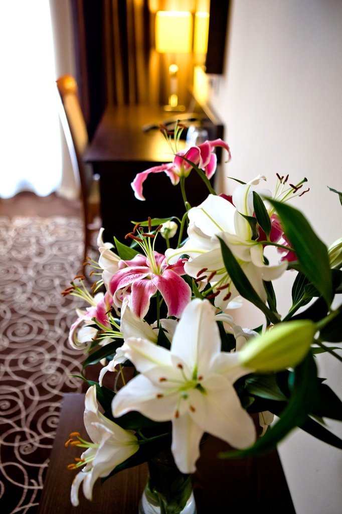 Hotel Stacio
