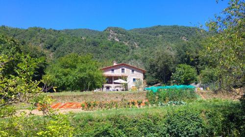 La Xiquella