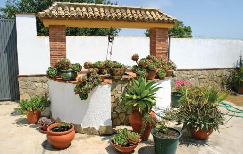 Dehesa Las Yeguas