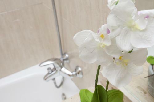 Apartamento Singularstays Guillem De Castro