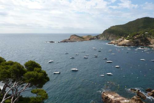 Apartamento Turismar - Cap Sa Sal