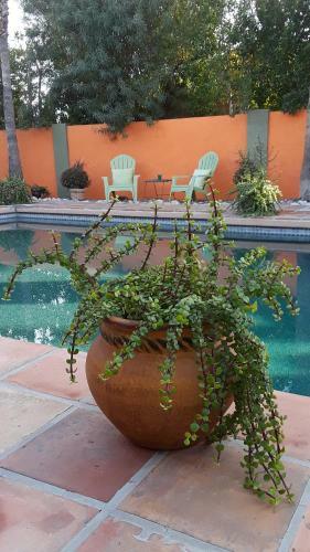 Bed & Breakfast Villa3633