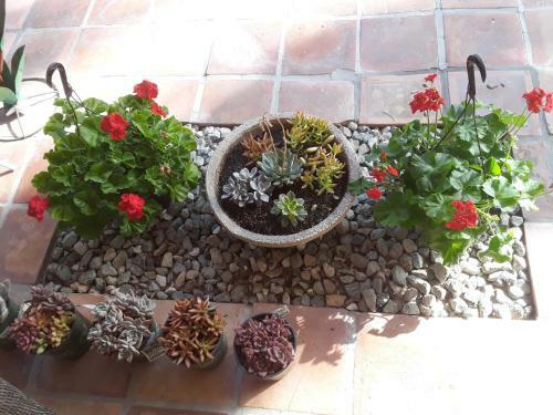 Bed & Breakfast Villa3633