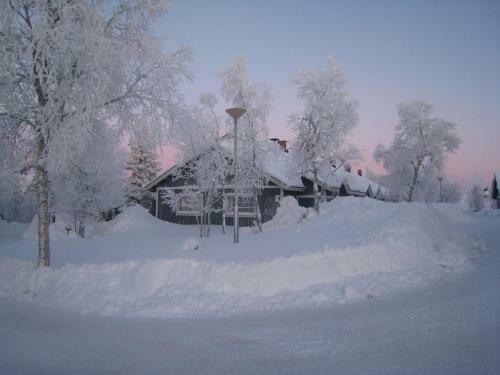 Saarisel�n Marjamajat