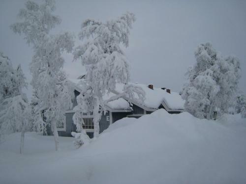 Saarisel�n Marjamajat