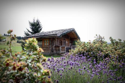 Hotel Relais Du Silence Le Manoir Des Montagnes