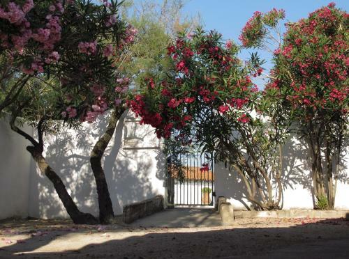 Hotel Cacharel