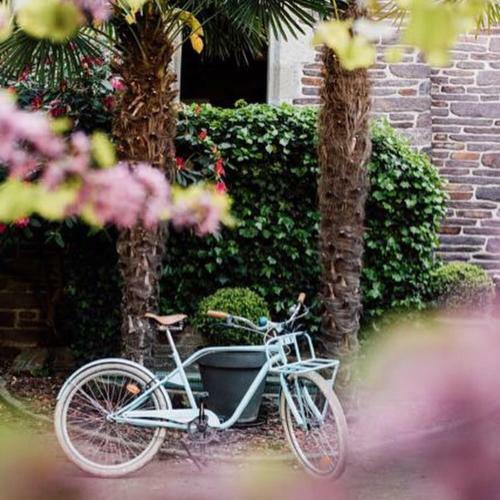 Bed & Breakfast Castel Jolly
