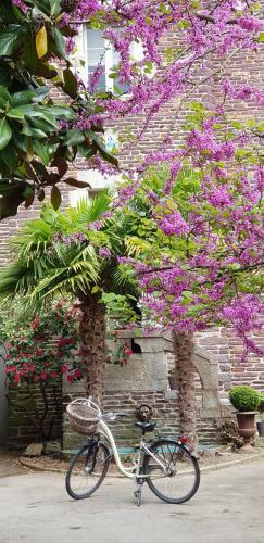 Bed & Breakfast Castel Jolly