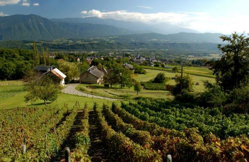 Hotel La Croix De Savoie & Spa