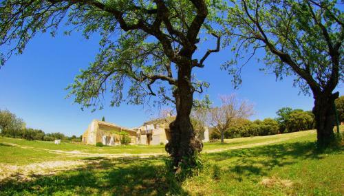 Bed & Breakfast Mas La Rivayne