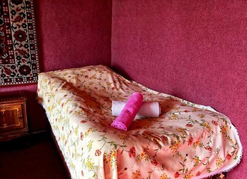 Hostal Mestia Valeris Guesthouse
