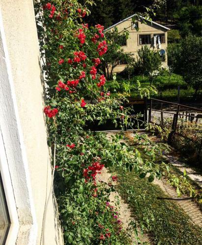 Hostal Mestia Valeris Guesthouse