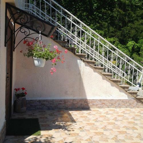 Hostal Vita Garden