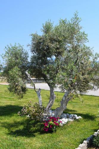 Apartamento Littore Maris