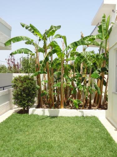Aparthotel Michalis Studios & Apartments