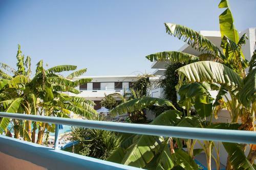 Yiannis Apartments & Studios
