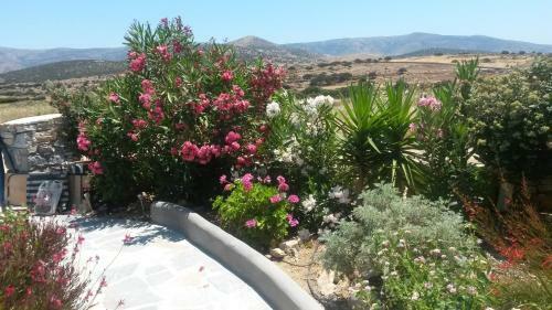 Apartamento Asterakia