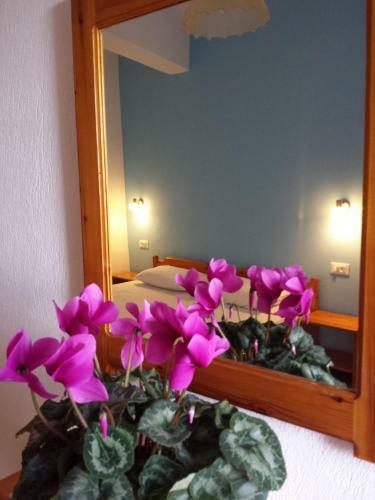 Hostal Sunrise House