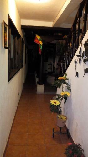 Hostal Hotel Dionisio
