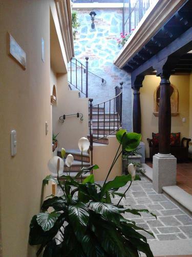 Hotel Casa Buena Vista