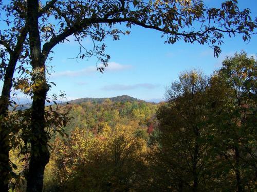 Blue Vista