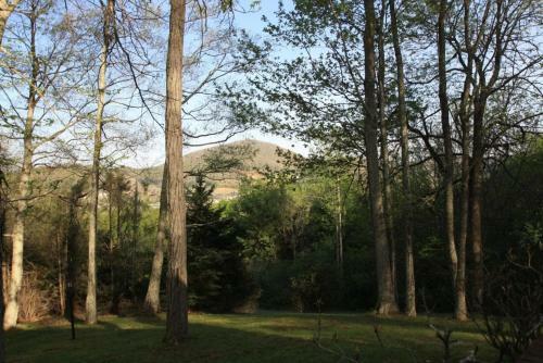 Hickory Manor