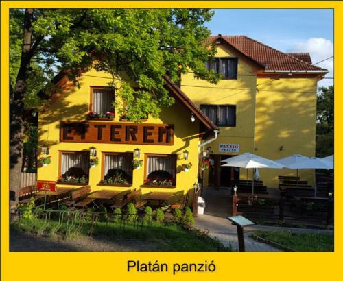 Hostal Plat�n Panzi�