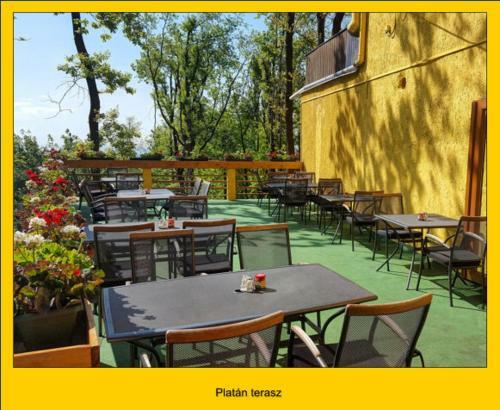 Hostal Plat�n Panzi�