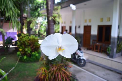 Hostal Balilodgestay Murna's Guesthouse