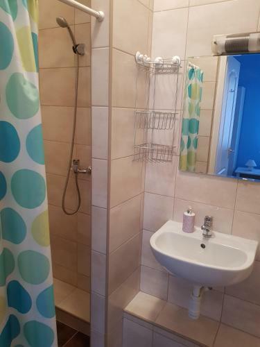 Hostal Vincze Villa Vend�gh�z