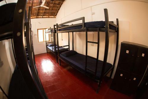Dreams Hostel