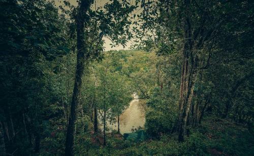 Hotel Ela Ecoland Nature Retreat