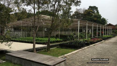 Hotel Citrus House