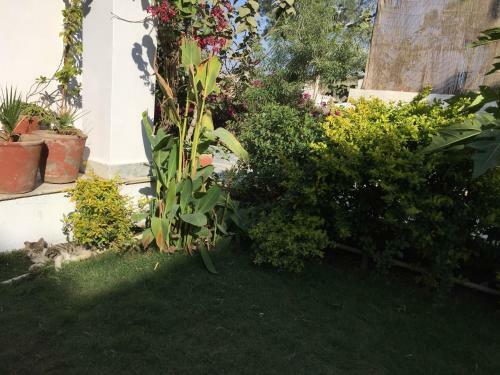Bed & Breakfast Shiv Vijay Vilas
