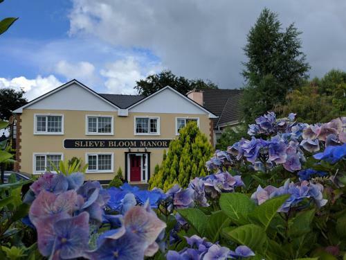 Slieve Bloom Manor Eco Bed & Breakfast