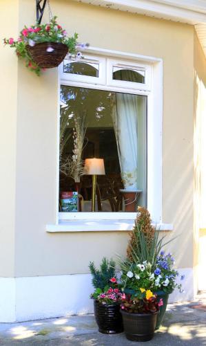 Hostal Hamill's Bed And Breakfast