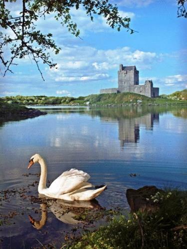 Hostal Kinvara Guesthouse