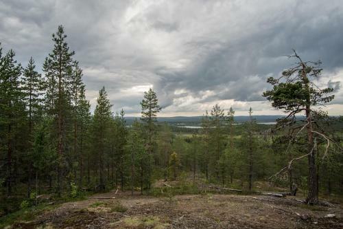 Pellon Helmi Holiday Cottages